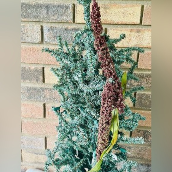 *Burgundy Millet Stem, Bundle of 3 - Picture 7 of 10